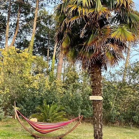 Bed & Breakfast Laguillotte *