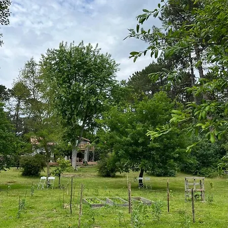 Laguillotte Bed & Breakfast