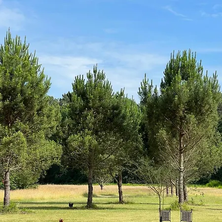 Bed & Breakfast Laguillotte 3*