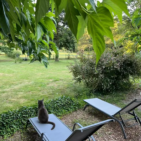 Bed & Breakfast Laguillotte