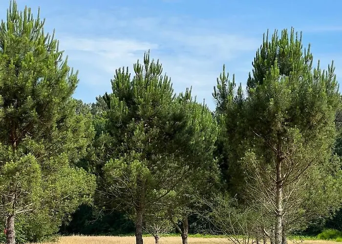 Bed & Breakfast Laguillotte 3*