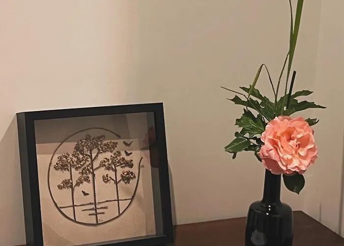 Bed & Breakfast Laguillotte Seignosse