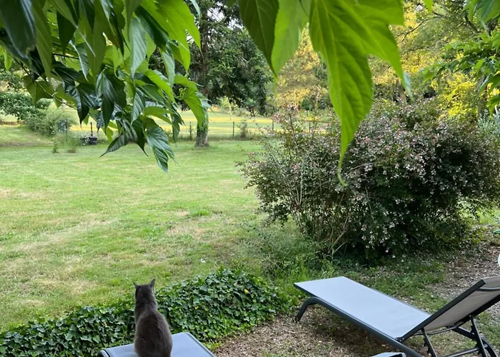 Bed & Breakfast Laguillotte